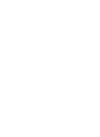 seta